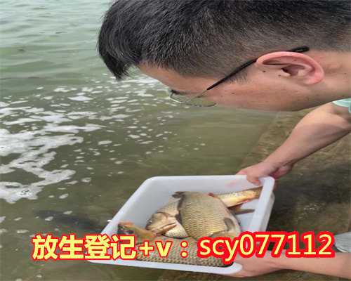 阳江放生歌曲,阳江市区哪里可以放生鸡,阳江适合放生的鱼类